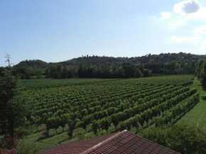 Гостиница B&B Il Vigneto  Манерба Дель Гарда